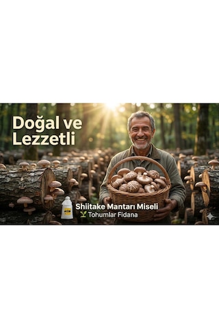 100 Gram Shiitake Mantar Tohumu Miseli