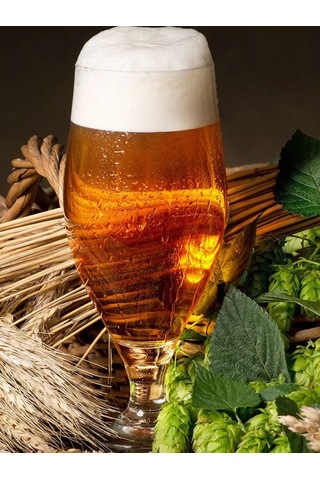 Purecrystal Bardak 2 Adet 620 Ml 182686717