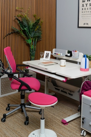 Creo Mobili Yükseklik Ayarlı Vega Plus Çalışma Sandalyesi, Ofis Ve Bilgisayar Koltuğu Fuşya/fuşya Gri