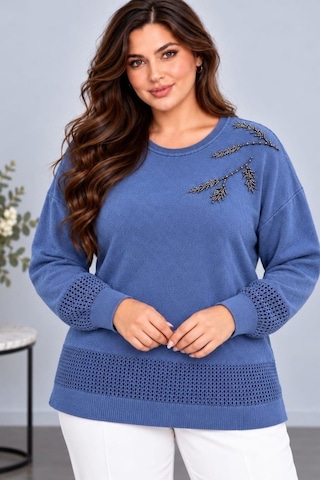 Cedy Denim Cedy Denım Kadın Bisiklet Yaka Dal Yaprak İşlemeli Taş Detaylı Dokulu Triko Kazak C27061 Mavi