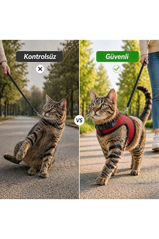 Kaçış Önleyici Kedi Gezdirme Tasması Ve Küçük Irk Köpek Gezdirme Tasması Kedi Göğüs Tasması Seti Small