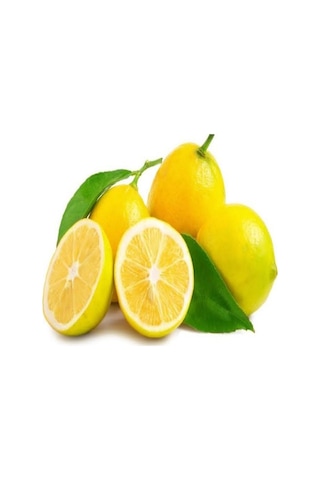 Tüplü Aşılı Yüksek Verimli Yediveren Limon Fidanı