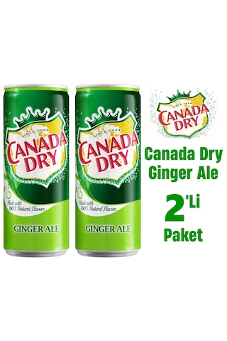 Canada Dry Ginger Ale 2 x 330 ML