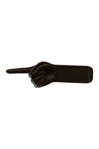 Antartidee Yön Bildirme Eli / Indicating Hand