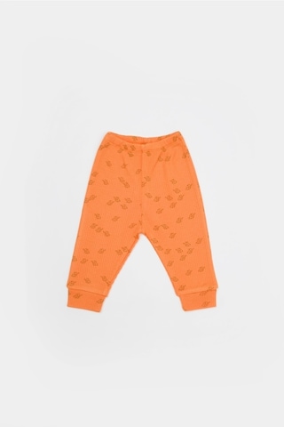 BabyCosy Organik Modal Fil Baskılı 3 Lü Set Csym25505 001