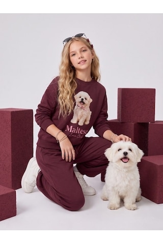 Zekids Kız Çocuk Pamuklu Köpek Baskılı Oversize Tasarım Sweatshirt-16472 Bordo
