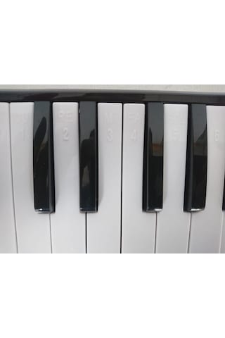 Cremonia Cr32bk Melodika 32 Tuşlu Siyah Renk - Çantalı Çoklu Renk