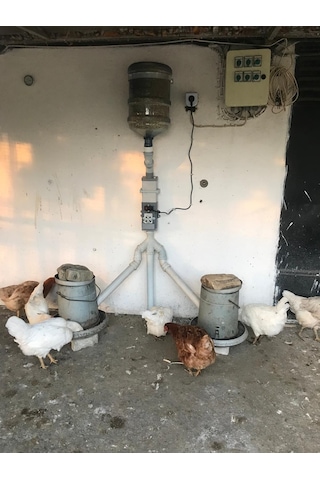 Otomatik Yemlik (Tavuk Güvercin Bıldırcın)
