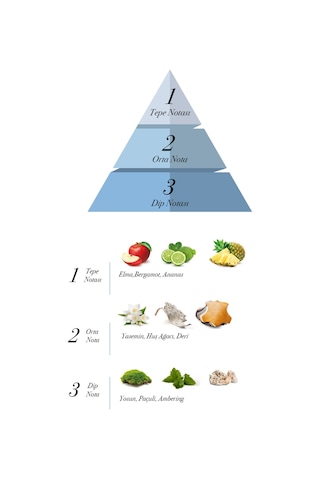 Prova Advantage Erkek Parfüm EDP 120 ML