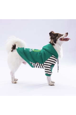 Pawstar Yeşil Lucky Club Polarlı Küçük Irk Köpek Sweatshirtü