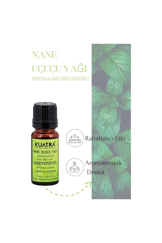 Kuatra Nane Uçucu Yağı 10 ML