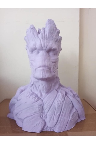 Groot Büst