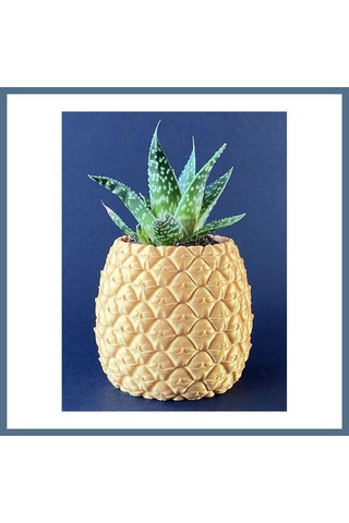 Buradabulabilirsin 3d Baskı Ananas Formlu Saksı Ve Kalemlik Kabartma Dokulu Sukulent Saksısı Masaüstü Bitki Ve Kalem Tutucu Bbz