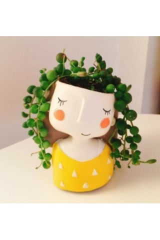 Florada Dekoratif 2'li Sukulent Kız Saksı