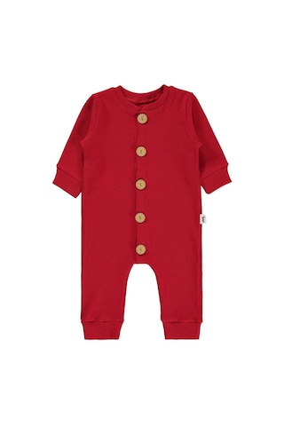 Xmlbayiciniz Baby Erkek Bebek Zıbını, Düz Basic, 6-9 Ay, Kırmızı Çok Renkli
