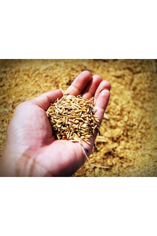 15.15.15 Npk Taban Süper Kompoze Gübresi (3x15) - 5 KG