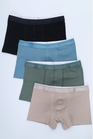 Toontoy Erkek Çocuk Tnty Yazı Baskılı 4lü Paket Boxer Çok Renkli