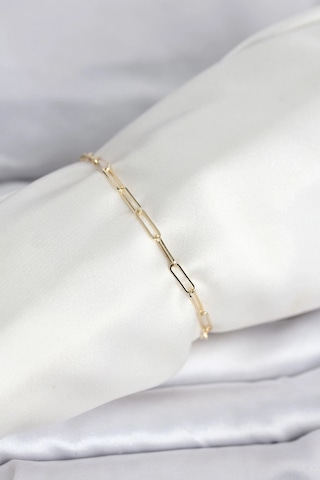 Ceylan Adam Cm 14k Gold Renk Ataç Zincir Model Kadın Bileklik Çok Renkli