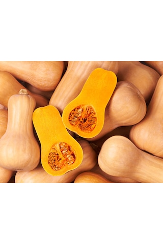 Butternut Kabak Tohumu 6 adet