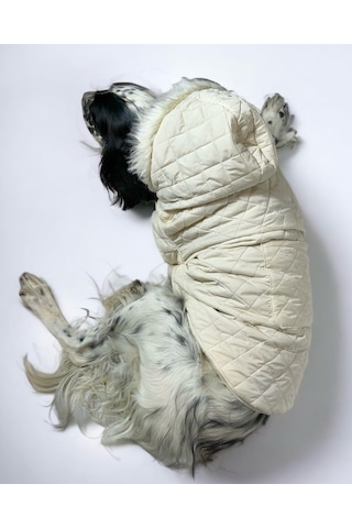Kemique Cream Comfly Köpek Montu Orta Büyük Irklar İçin