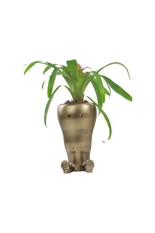 Saksı Çiçek Kaktüs Saksısı Lüx 13,5 Cm Gümüş Eskitme Varak Boyalı Havuç Desen Saksı Çiçeklik - Altın Eskitme