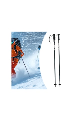 Suntek 2 Adet Kayak Batonları Taşınabilir 125-santim Siyah