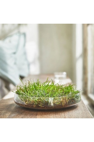 Ikea Hedersam Cam Kaplı Kokulu Mum 7,5 X 7 Cm Bitkisel Marul Yeşili Yeşil