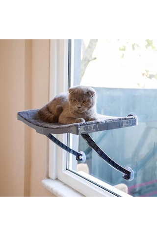 Cama Yapışan Kedi Yatağı