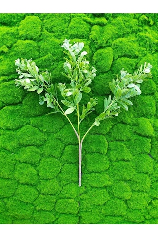 1 Adet Kokteyl Sunum Pipeti Cam Pipet Isıya Dayanıklı Eğimli 20cm Şeffaf Cam Pipet Tekli