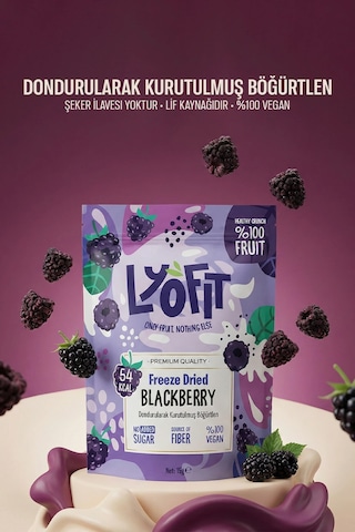 Lyofit Food Freeze Dried Böğürtlen 15 G