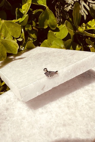 Balık Model Zirkon Taşlı Özel Tasarım Gümüş Renk Stainless Steel Çelik Tragus Helix Piercing