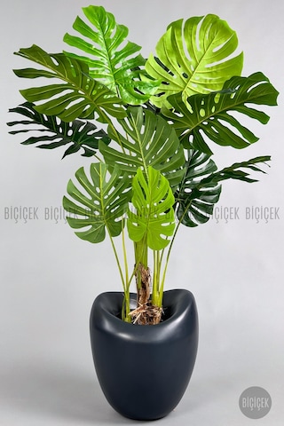 Yapay Monstera Ağacı Deve Tabani 170 Cm Antresi T Lale Saksıda Antresit