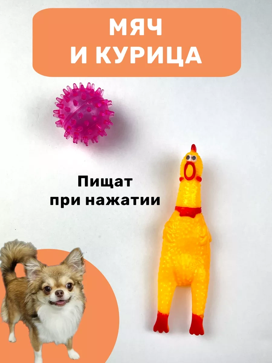 Freedsy Küçük Irk Köpekler Ve Yavru Köpekler İçin Oyuncaklar 183955454