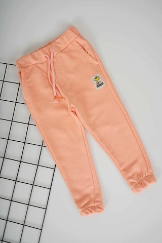 Miniko Kids Unisex Bileği Ribanalı Pamuk Eşofman Altı Turuncu