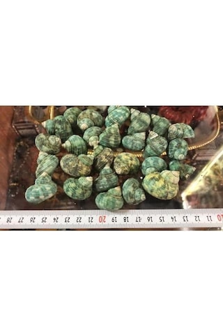 %100 NATUREL DOĞAL GERÇEK DENİZ KABUĞU 500 Gram -MMM4762