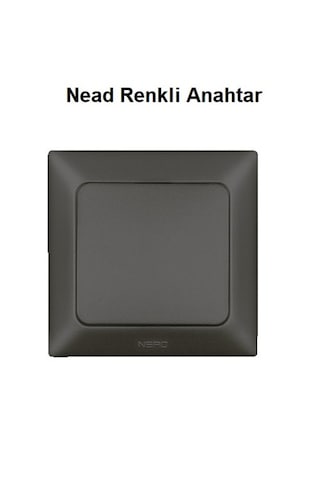 Nead Renkli Anahtar Çerçevesiz