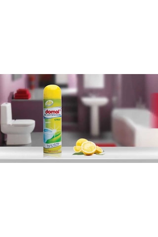 Domol Limon Özlü Tuvalet Temizleyici Köpük 500 ML
