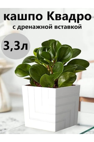 Live-in-green 3 Litre Otomatik Sulu Diyabetik Çiçek Saksısı 146167293