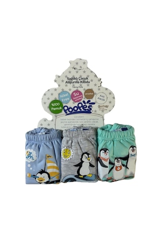 3'lü Alıştırma Külodu 3'lü Maceracı Penguenler