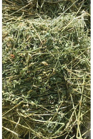 Bol Çiçekli Yonca Kuru Kemirgen Otu 2 KG