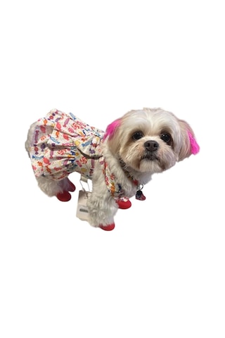 Gedyco Candy Fırfırlı Salopet Küçük Irk Köpek Elbisesi