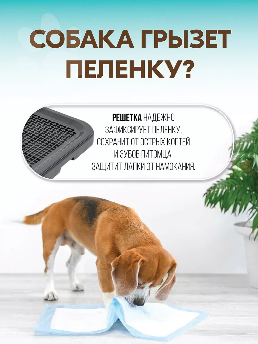 Pettails Köpekler İçin Sütunlu Ve Duvarlı Tuvalet Kutusu 51 41 27 Cm 243066906