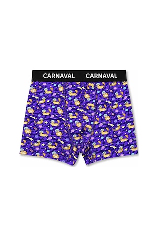 Carnaval Socks Carnaval Wild Orbit Erkek Boxer 3'lü Set Çoklu