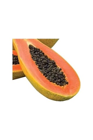 Ayrex Vipfoni Papaya Ağaç Kavunu Tohumu