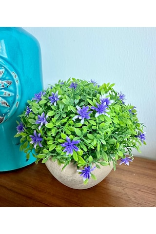 Premium Saksılı Yapay Çiçek Dekoratif Masaüstü Bitkisi 13x16 Cm Çok Renkli