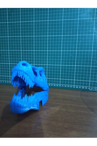 Trex İskelet Kuru Kafa Biblo Heykel