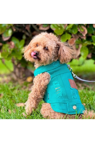Yeni - Çam Yeşili Renk Kot Köpek Yeleği - Küçük Irklar İçin Şık V