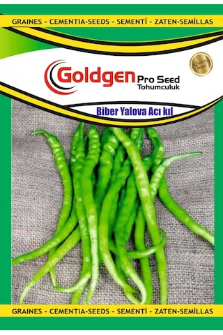 Goldgen Yalova Acı Kıl Biber Tohumu 1 Paket