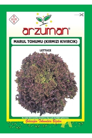 Arzuman Kırmızı Kıvırcık Marul Tohumu 5 G
