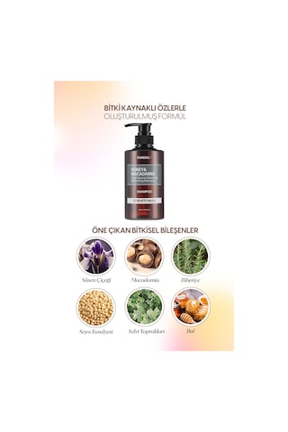 Kırılma Karşıtı Besleyici Bakım Şampuanı Kundal Honey & Macadamia Nature Shampoo 500ml White Musk